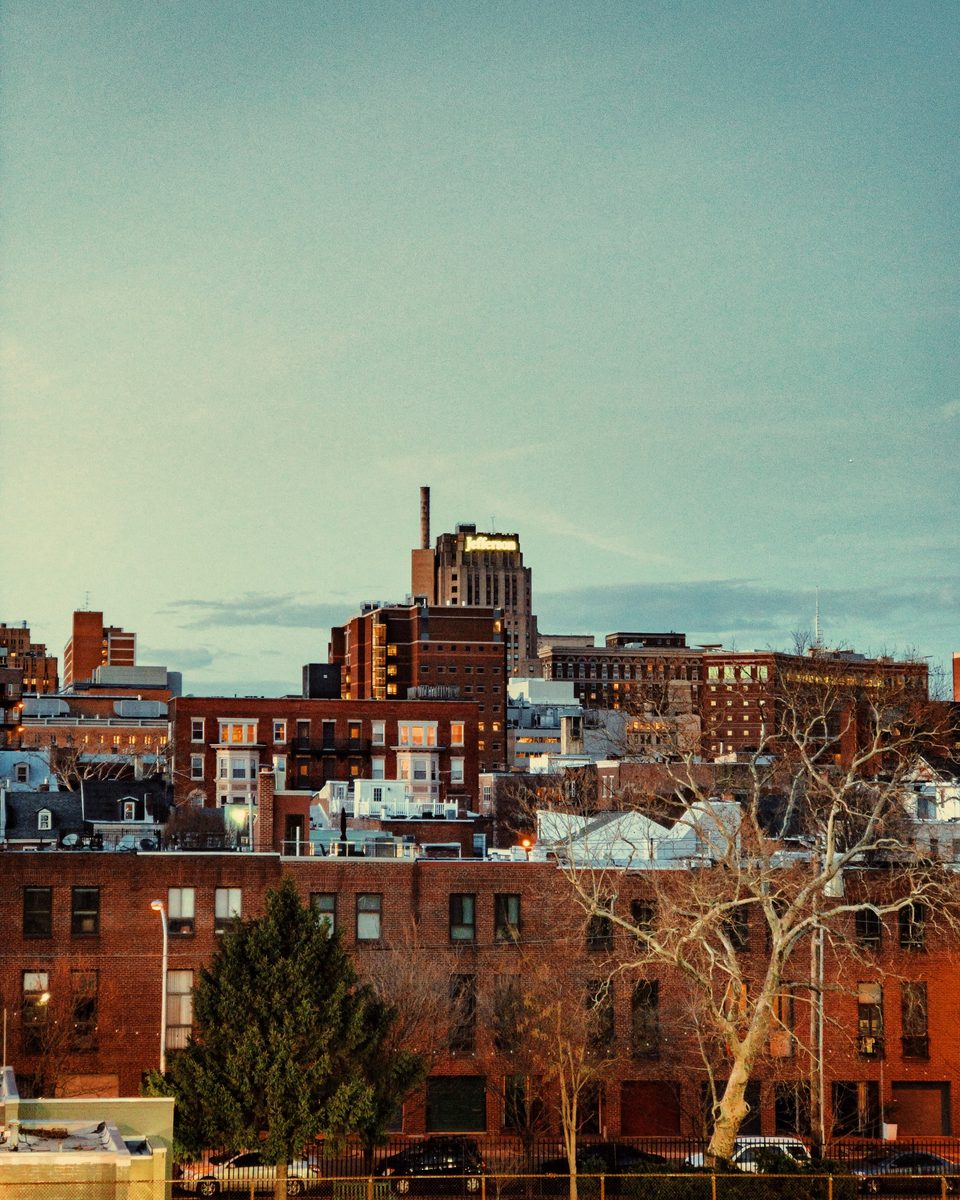 Brick rowhouses and low industrial buildings in warm late light, a bare tree in the foreground.