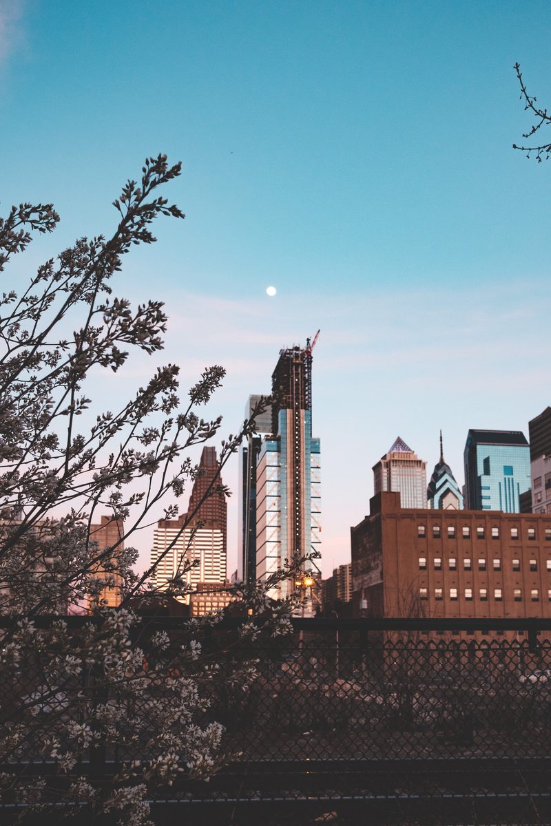 The Philadelphia skyline through spring blossom, a tower under construction and the moon above.
