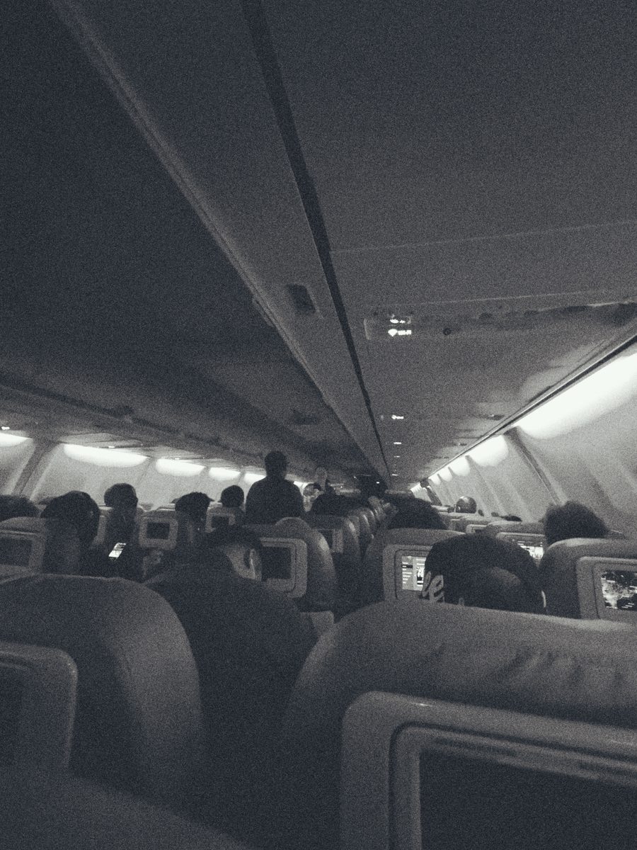 The dim cabin of an aircraft in flight, screens and reading lights among the seat backs.